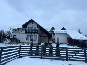 Casa Stefan -Dorna Arini